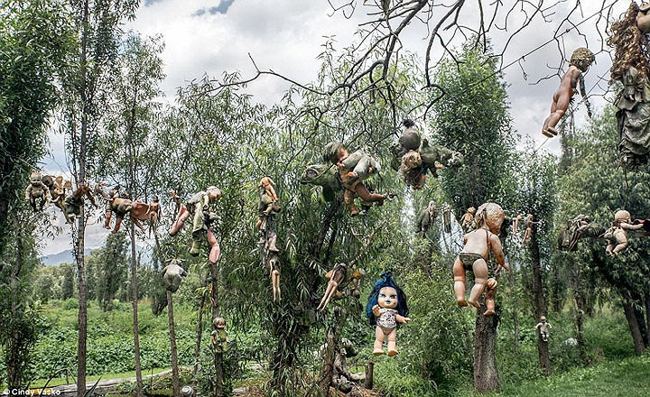 Trừ những lúc rời khỏi đảo để đi thu lượm búp bê cũ, hỏng từ bãi rác hoặc đổi chác với những người thu lượm đồ phế liệu, ông Julian sống luôn tại đây.