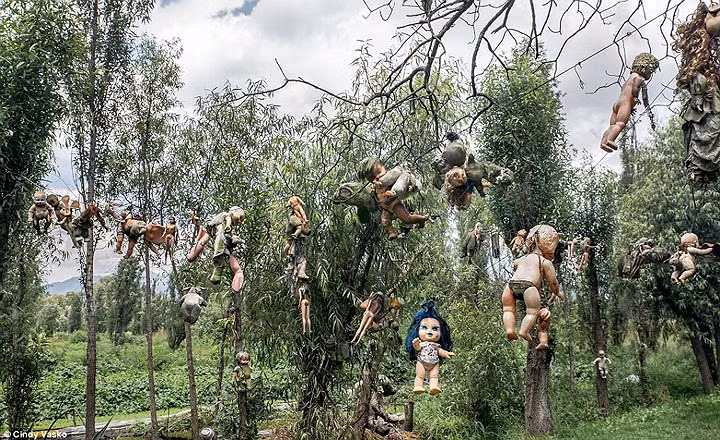 Trừ những lúc rời khỏi đảo để đi thu lượm búp bê cũ, hỏng từ bãi rác hoặc đổi chác với những người thu lượm đồ phế liệu, ông Julian sống luôn tại đây.