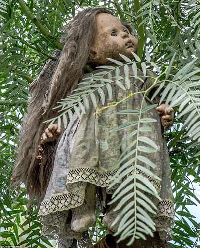 Hiện tại, Anastasio Santana, cháu của ông Julian vẫn sống trên đảo và trở thành người kể lại câu chuyện đầy màu sắc truyền kỳ của chú mình, với giá 2 USD.