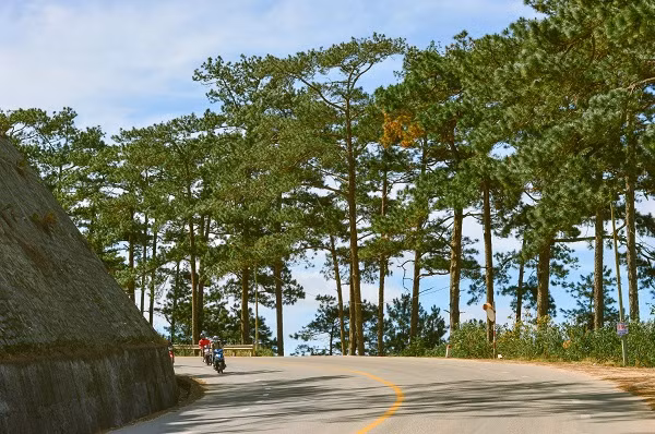 Da Lat binh yen qua nhung con duong pho nui-Hinh-10