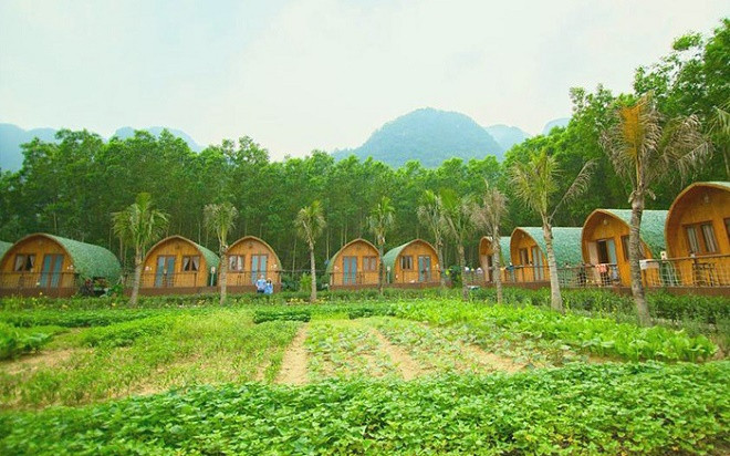 Farmstay: Tiem nang... nhung nhieu vuong mac