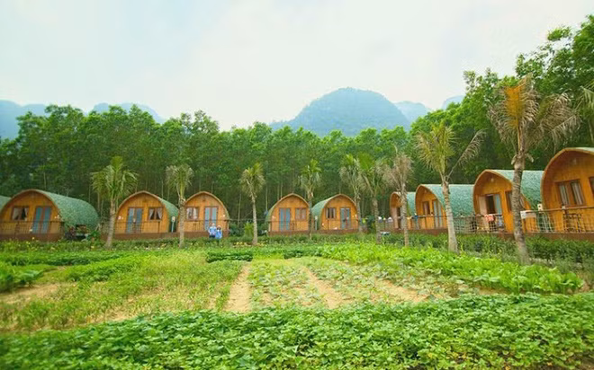 Farmstay: Tiềm năng... nhưng nhiều vướng mắc Farmstay: Tiem nang... nhung nhieu vuong mac