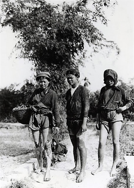 Những người phụ nữ nông thôn đi làm đồng.