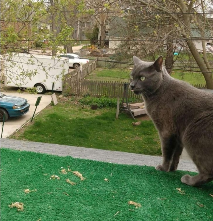 Không phải hình ảnh trong cảnh phim điện ảnh nào đâu, là thật đấy!