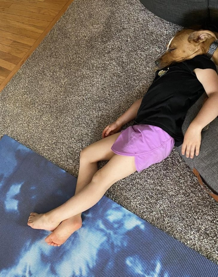 Chú chó này thật biết chọn điểm dựa.