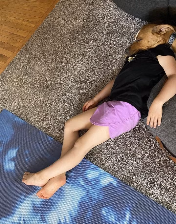 Chú chó này thật biết chọn điểm dựa.