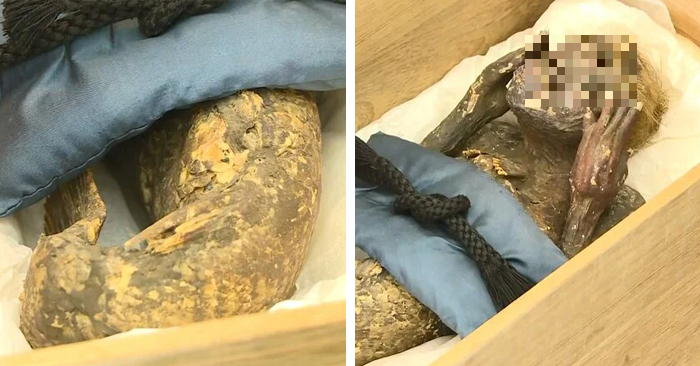 Phần thân trên, cũng có các phần làm bằng vải, được bọc trong một tờ giấy mỏng, sau đó được bọc trong da fugu (một loại cá nóc). Cái đầu cũng được làm bằng vải và được nhồi vào một số loại lông động vật không xác định.