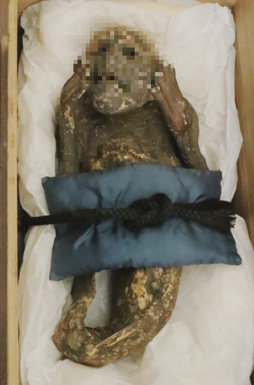 Rất may, ningyo không mang bất kỳ ý nghĩa tôn giáo đặc biệt nào trong Phật giáo Nhật Bản. Vì vậy việc tiết lộ rằng bảo vật tại đền Enjuin không có thật sẽ không gây ra bất kỳ cuộc khủng hoảng niềm tin nào hoặc giảm đi lượng khách đến ngôi đền này.