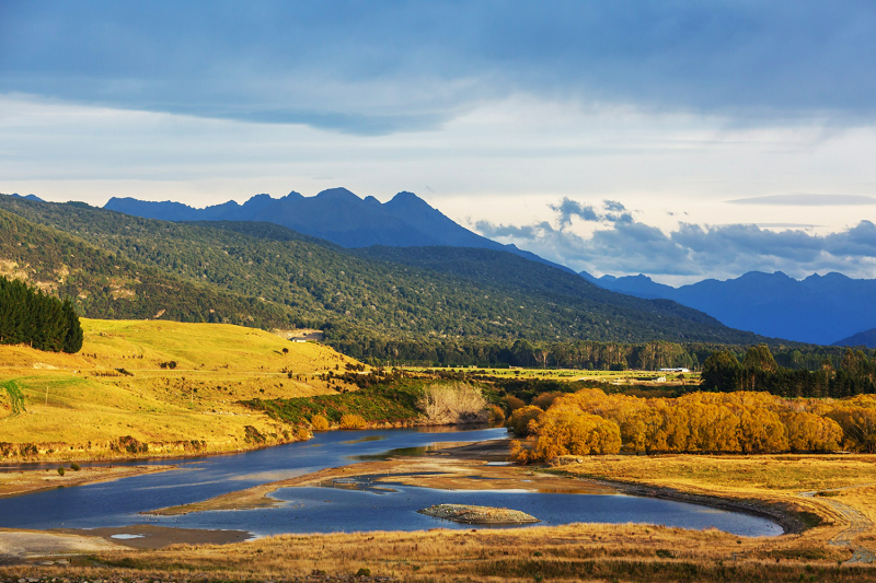 New Zealand là nước xuất khẩu thực phẩm và đồ uống lớn, ngành này chiếm 46% tổng kim ngạch xuất khẩu hàng hóa và dịch vụ.