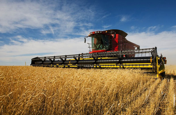 Australia có diện tích tự nhiên 769 triệu hec ta (7.692.024 km2, rộng gấp 23 lần Việt Nam. Tuy có đến gần 2/3 diện tích (436 triệu hec ta) là đất có thể canh tác, nhưng Australia chỉ sử dụng có 46 triệu hec ta, gồm 18 triệu hec ta trồng trọt và 28 triệu hec ta đồng cỏ.