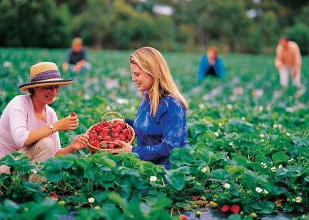 Với lịch sử non trẻ chỉ hơn 100 năm, với hơn 100 dân tộc đa văn hóa, nước Úc giờ đã trở thành một đất nước giàu mạnh, xây dựng được một nơi có đời sống tốt nhất thế giới, xuất khẩu hầu hết các mặt hàng quan trọng kể cả dịch vụ giáo dục.