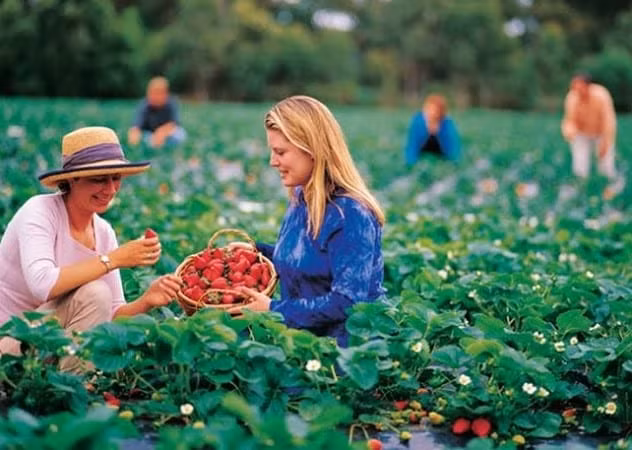 Với lịch sử non trẻ chỉ hơn 100 năm, với hơn 100 dân tộc đa văn hóa, nước Úc giờ đã trở thành một đất nước giàu mạnh, xây dựng được một nơi có đời sống tốt nhất thế giới, xuất khẩu hầu hết các mặt hàng quan trọng kể cả dịch vụ giáo dục.