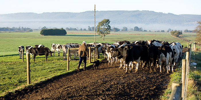 Với khí hậu ôn hòa, đất đai màu mỡ và nguồn hải sản đại dương phong phú, New Zealand là một trong những quốc gia dẫn đầu thế giới về sản xuất lương thực và là một trong những nhà xuất khẩu thực phẩm hàng đầu thế giới, cung cấp cho hàng triệu người trên 120 quốc gia các sản phẩm thực phẩm và đồ uống chất lượng cao cấp.