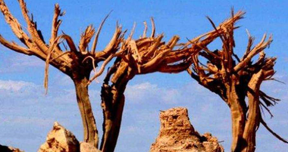 Nhiệt độ ở trên 40 độ C vào mùa hè và âm dưới 20 độ C vào mùa đông. Lượng mưa hàng năm ít ỏi đến đáng thương vào khoảng 20mm.