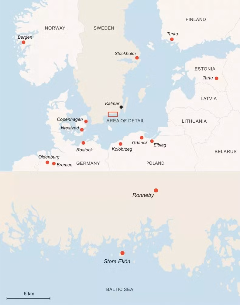 Khi tảo phân hủy, nó tạo ra các khu vực thiếu oxy cục bộ, vô tình thành lớp màng ngăn con tàu không thể tiếp xúc với oxy, từ đó bảo quản nguyên liệu thực vật ở mức tuyệt vời.