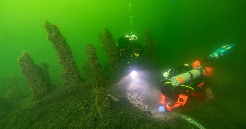 Ngoài giá trị lịch sử, cách mà 3.000 mẫu vật thuộc loại đáng lẽ có thể bị hủy hoại hoàn toàn chỉ sau một thời gian ngắn lại có thể như "xuyên không" qua vài thế kỷ cũng là một phần quan trọng của cuộc nghiên cứu.