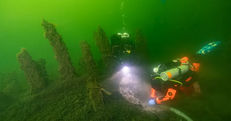 Ngoài giá trị lịch sử, cách mà 3.000 mẫu vật thuộc loại đáng lẽ có thể bị hủy hoại hoàn toàn chỉ sau một thời gian ngắn lại có thể như "xuyên không" qua vài thế kỷ cũng là một phần quan trọng của cuộc nghiên cứu.