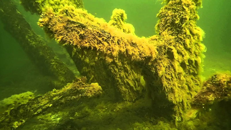 Ngoài gia vị và trái cây, các cuộc thám hiểm trước đây còn tìm thấy nhiều đồ tạo tác như áo giáp, vũ khí, tiền xu, thùng đựng cá tầm đã xẻ thịt và một chiếc bình gỗ có biểu tượng vương miện thuộc sở hữu của nhà vua.