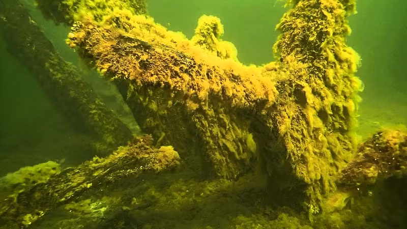 Ngoài gia vị và trái cây, các cuộc thám hiểm trước đây còn tìm thấy nhiều đồ tạo tác như áo giáp, vũ khí, tiền xu, thùng đựng cá tầm đã xẻ thịt và một chiếc bình gỗ có biểu tượng vương miện thuộc sở hữu của nhà vua.