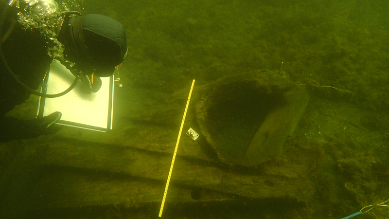 Với nhiều mẫu vật được tìm thấy trong điều kiện bảo quản tuyệt vời, bộ sưu tập gia vị Gribshunden đại diện cho những ví dụ khảo cổ sớm nhất về một số mặt hàng xa xỉ ở vùng Baltic, phản ánh sự giàu có của vua Hans và cung cấp những hiểu biết có giá trị về lối sống của giới quý tộc trong thời Trung cổ.