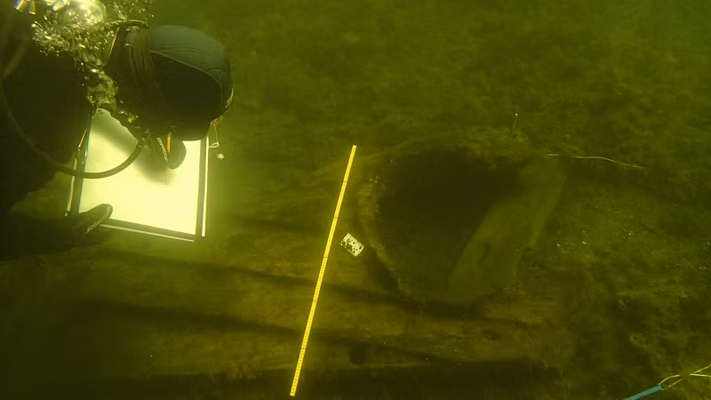 Với nhiều mẫu vật được tìm thấy trong điều kiện bảo quản tuyệt vời, bộ sưu tập gia vị Gribshunden đại diện cho những ví dụ khảo cổ sớm nhất về một số mặt hàng xa xỉ ở vùng Baltic, phản ánh sự giàu có của vua Hans và cung cấp những hiểu biết có giá trị về lối sống của giới quý tộc trong thời Trung cổ.