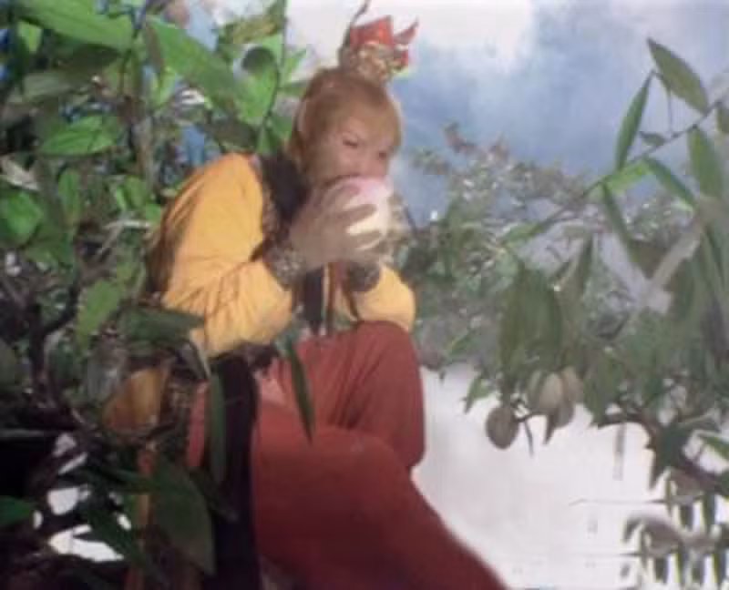 Mặt khác, Tôn Ngộ Không đã từng "thưởng thức" 3 loại tiên dược giúp trường sinh bất lão bao gồm: Đào tiên do thái hậu Dao Trì chăm sóc, linh đan Thái Thượng Lão Quân tu luyện và nhân sâm của Trấn Nguyên Tử trồng.