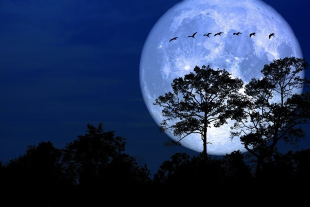 Ở điểm rất xa đó, nó trở thành trăng tròn.