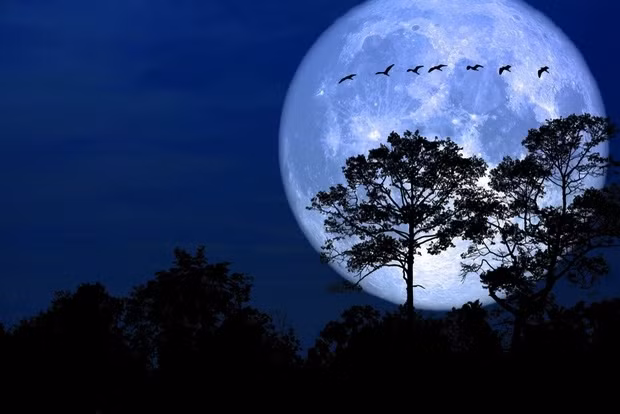 Ở điểm rất xa đó, nó trở thành trăng tròn.