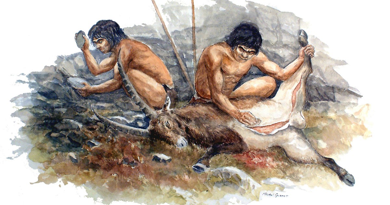 Một số nghiên cứu trước đó chỉ ra họ có thể đã săn cả ma mút và nhiều động vật khổng lồ cổ đại khác.