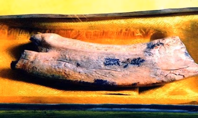 Cung điện ngầm bao gồm một hàng lang dài gần 4m, rộng 0,97m; cao 1,65m và một gian phòng nằm ở giữa chân tháp có chiều dài 1,47m; rộng khoảng 1,43m và cao tới 4,2m. Chính giữa gian phòng là một giếng tròn, miệng giếng được đậy bằng một phiến đá, xung quanh chạm trổ hình hoa sen. Phía sau gian phòng lớn có một ngách nhỏ, bên trong có một bàn thờ Phật, trên ban thờ có một hộp đá.