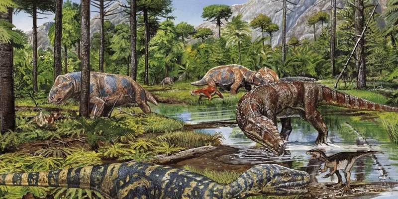 Các chuyên gia cho rằng, việc phát hiện ra Turnersuchus lấp đầy khoảng trống trong hồ sơ hóa thạch, gợi ý rằng thalattosuchian lẽ ra phải có nguồn gốc vào khoảng cuối kỷ Triat, tức là cách đây 15 triệu năm trước khi Turnersuchus đã sống.