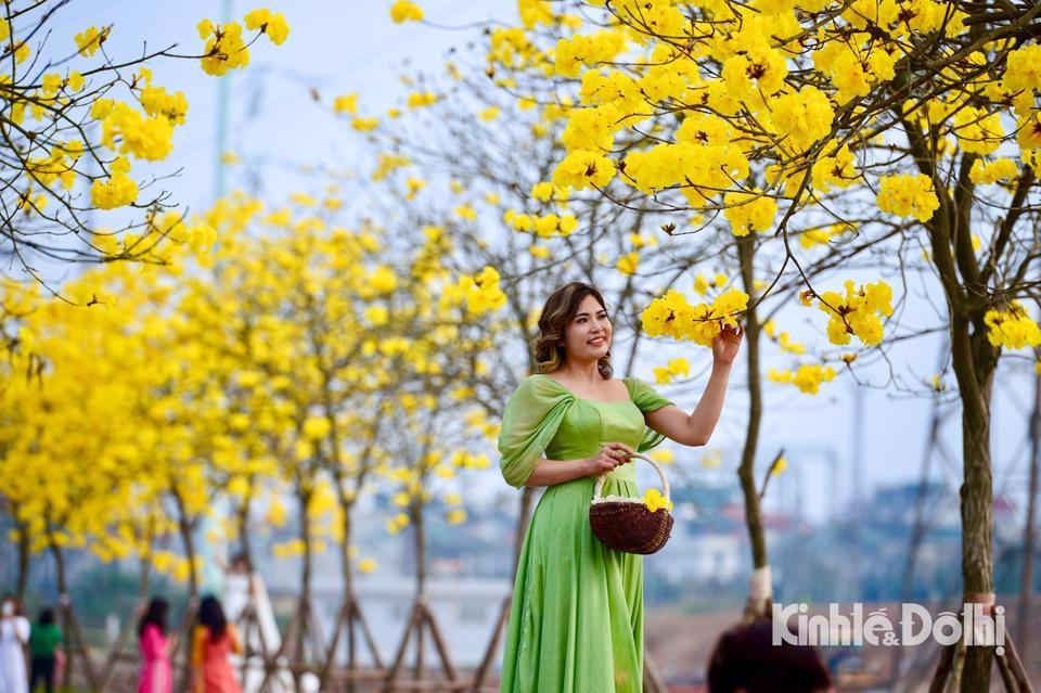 Du bao thoi tiet ngay 26/2/2023: Ha Noi troi ret, nang dep ngay cuoi tuan