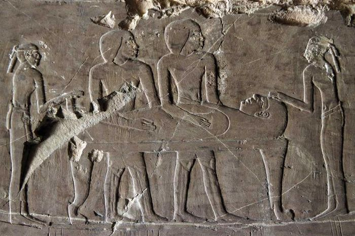 Trong suốt 20 năm qua, các quá trình khai quật, khôi phục và bảo tồn dự án đã mang tới nhiều phát hiện khảo cổ quý giá. Các nhà khảo cổ đã công bố những chiếc quan tài chứa xác ướp còn nguyên vẹn và khu vườn tang lễ duy nhất của người Ai Cập cổ đại được phát hiện cho đến nay.