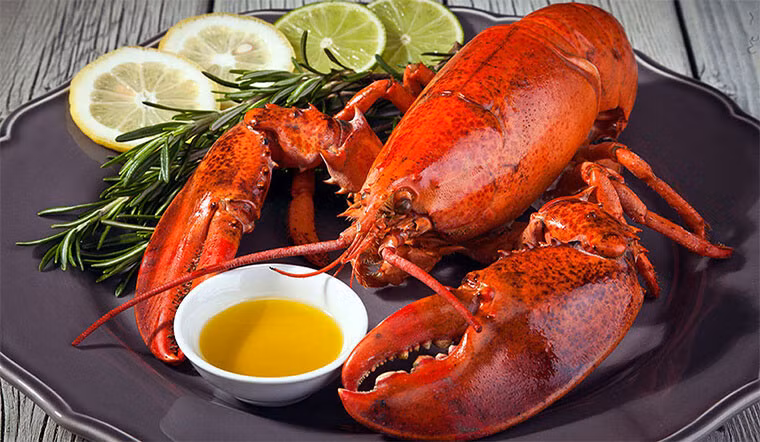 1. Tôm hùm từng là thức ăn trong tù: Là một trong những nguyên liệu đắt đỏ thường dùng trong các nhà hàng cao cấp, ít ai biết tôm hùm lại từng là món ăn dành cho các tù nhân.