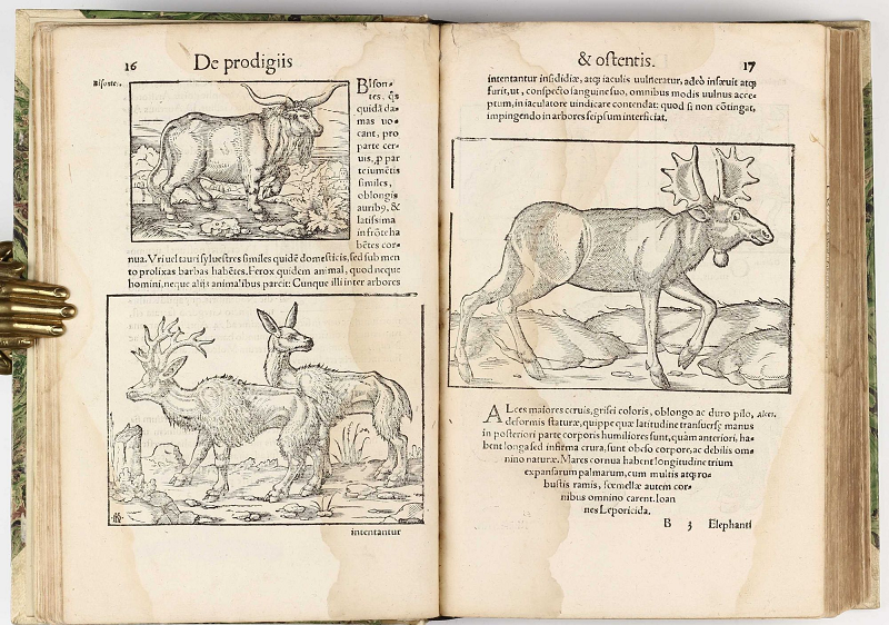  Cuốn sách bí ẩn này đã miêu tả nhiều sự vật mà chúng ta đều công nhận, nhưng cũng có những hiện tượng như UFO hay quái vật biển.