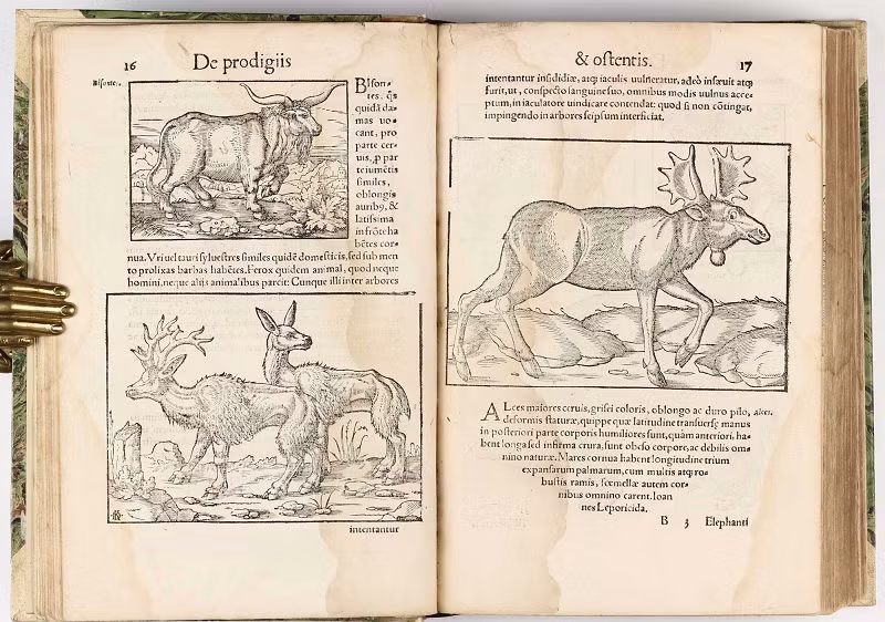 Cuốn sách bí ẩn này đã miêu tả nhiều sự vật mà chúng ta đều công nhận, nhưng cũng có những hiện tượng như UFO hay quái vật biển.