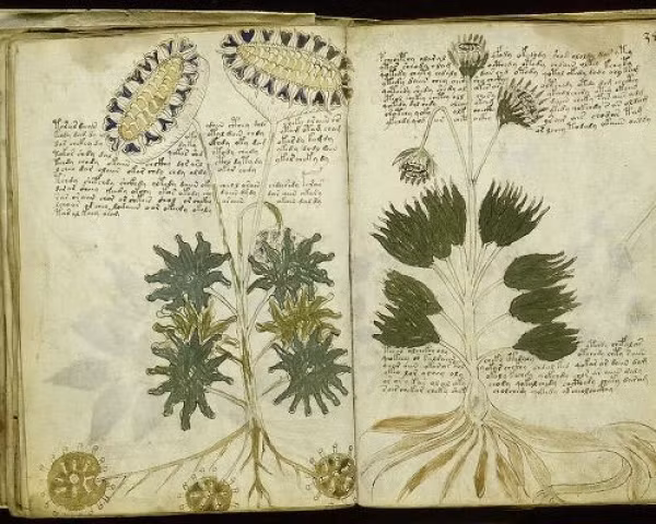 Đây có thể là tài liệu cá nhân về những chuyến đi của anh ta đến một hành tinh khác, nơi anh ta khám phá rất nhiều các loài thực vật hoàn toàn mới?