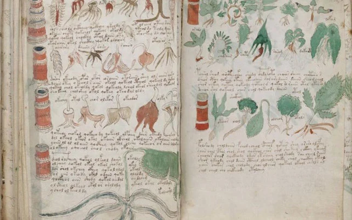 Các nhà mật mã học đã cố gắng và thất bại trong việc giải mã hệ thống chữ viết, nhưng họ cho rằng cuốn sách đang cố gắng nói với độc giả một thông điệp nào đó.