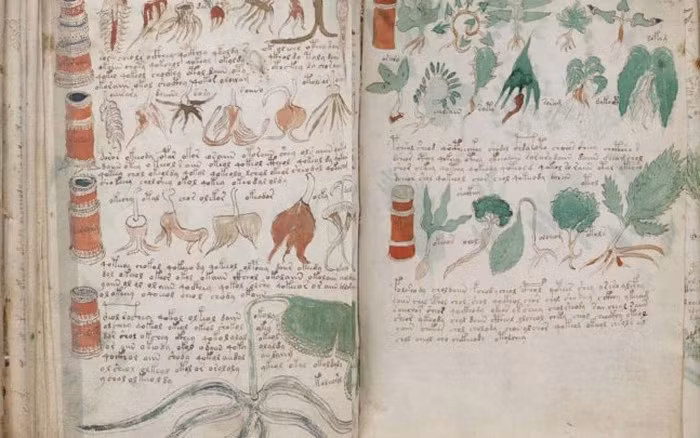 Các nhà mật mã học đã cố gắng và thất bại trong việc giải mã hệ thống chữ viết, nhưng họ cho rằng cuốn sách đang cố gắng nói với độc giả một thông điệp nào đó.