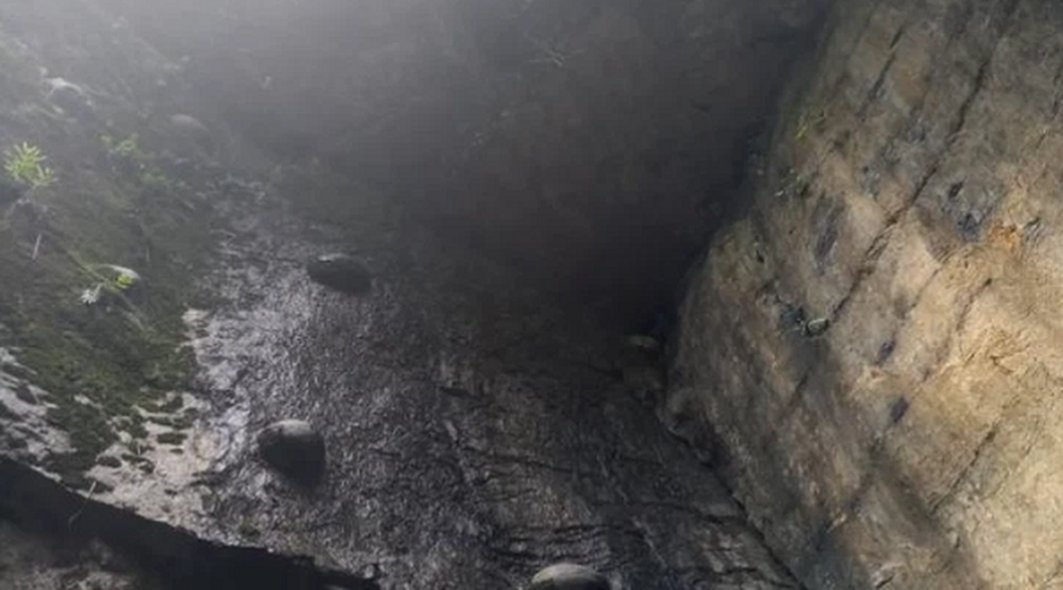 Chính quyền địa phương đã treo giải thưởng lên tới 500.000 NDT (hơn 1 tỷ 750 triệu VND) cho bất cứ ai tìm được câu trả lời chính xác.