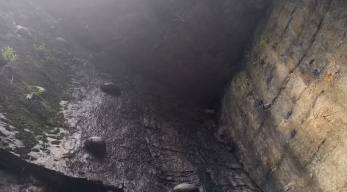 Chính quyền địa phương đã treo giải thưởng lên tới 500.000 NDT (hơn 1 tỷ 750 triệu VND) cho bất cứ ai tìm được câu trả lời chính xác.