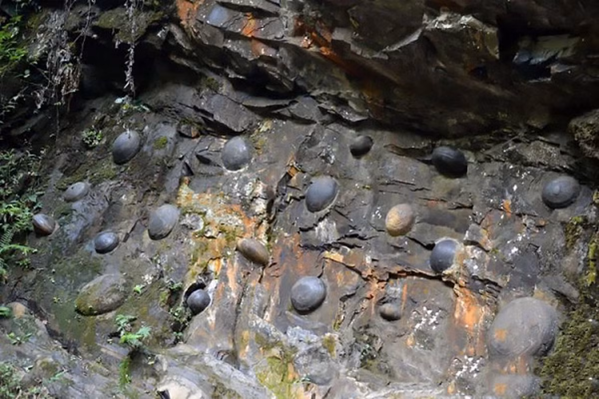 Theo tiếng Quan thoại, hệ ngôn ngữ tiêu chuẩn của Trung Quốc, Chan Da Ya có nghĩa là " vách đá đẻ trứng". Sở dĩ người ta đặt cho nó cái tên này là bởi nó có cả một huyền thoại về khả năng "đẻ trứng" vô cùng kỳ lạ.