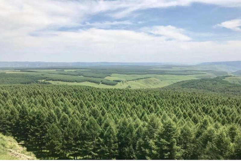 Vậy nếu như nhân loại thực hiện phủ xanh sa mạc thì kết quả sẽ như thế nào? Môi trường của Trái đất có thể thực sự được cải thiện không? Câu trả lời sau đây sẽ khiến những ai có đề xuất phủ xanh sa mạc sẽ phải thay đổi suy nghĩ của mình.