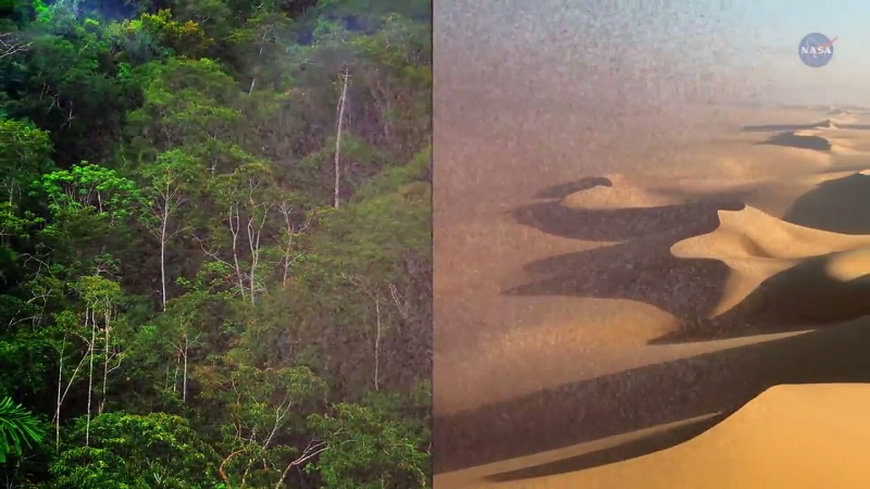 Mỗi năm, khoảng 22.000 tấn phốt pho có trong cát bụi bay từ sa mạc Sahara tới Amazon, tương đương với khối lượng chất dinh dưỡng mà những rừng mất đi bởi mưa và lũ lụt.