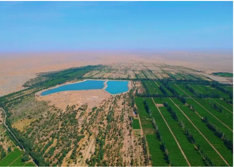 Thêm nữa, hàm lượng không khí trên Trái đất mà chúng ta đang sống hiện nay bao gồm khí oxy và CO2. Khi Trái đất mất đi sa mạc, diện tích rừng phủ rộng hơn sẽ khiến cho lượng khí CO2 bị giảm mạnh. Thế nhưng, việc này sẽ khiến cho Trái đất bị mất đi "lớp bảo vệ" và nảy sinh một loạt vấn đề.