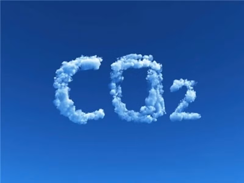 Cây xanh từ lâu luôn đóng một vai trò quan trọng trong việc hấp thụ CO2. Tuy nhiên, có nhiều cây xanh hơn không có nghĩa là chúng có thể làm giảm sự nóng lên toàn cầu.