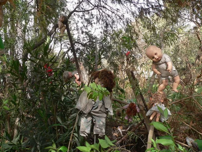 Một cảnh tượng trên "đảo búp bê" ở Mexico - hòn đảo Isla de las Munecas. Hòn đảo búp bê nổi tiếng không chỉ bởi thiên nhiên hoang dã mà còn vì chính "bộ sưu tập búp bê" vô cùng kinh dị tại đây cùng câu chuyện rùng rợn đằng sau đó.