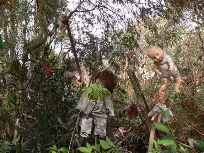 Một cảnh tượng trên "đảo búp bê" ở Mexico - hòn đảo Isla de las Munecas. Hòn đảo búp bê nổi tiếng không chỉ bởi thiên nhiên hoang dã mà còn vì chính "bộ sưu tập búp bê" vô cùng kinh dị tại đây cùng câu chuyện rùng rợn đằng sau đó.