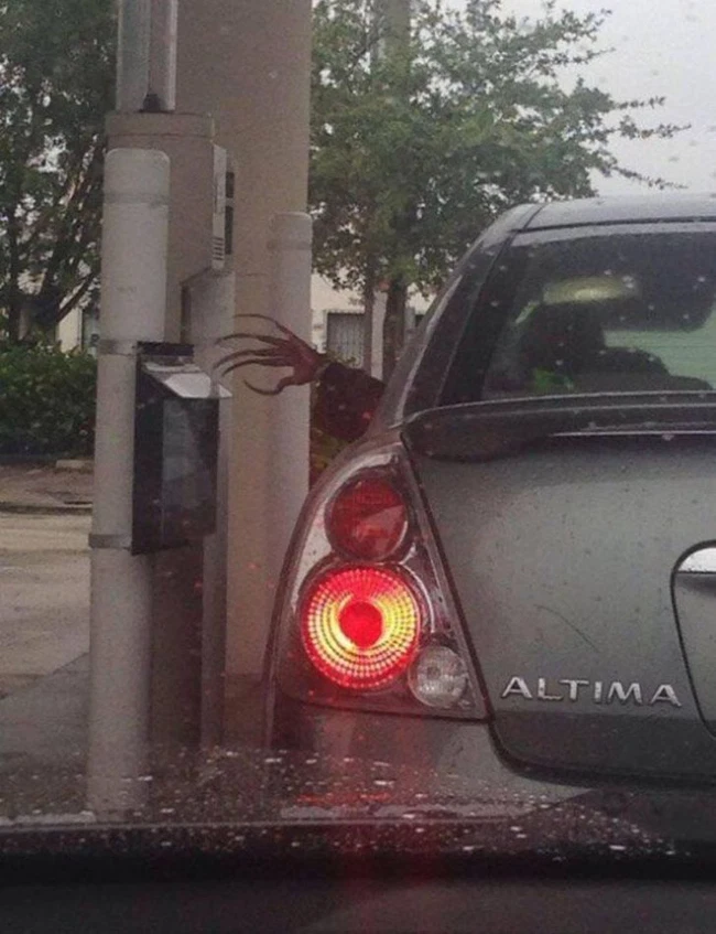 Chỉ là hình ảnh một chiếc ô tô đậu bên đường thôi, có gì đâu mà phải căng thẳng. Nhưng khoan, hãy nhìn kỹ bàn tay thò ra bên ngoài...