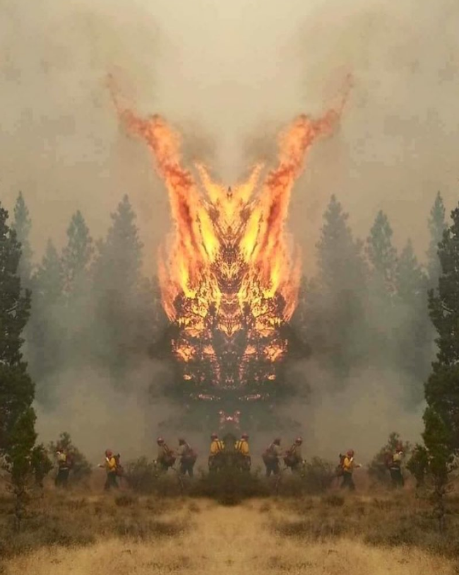 Hình ảnh phản chiếu của cái cây đang cháy này trông giống như một con quỷ.